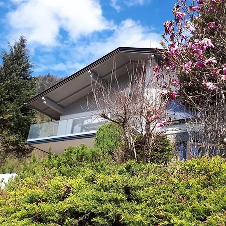 Berg'nsee - Ferienhaus Ossiacher See By Seebnb 안넨하임